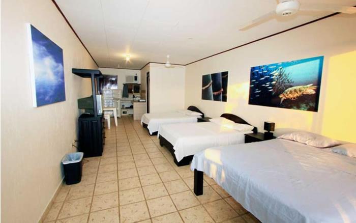 יקו Hotel Blue Palm מראה חיצוני תמונה